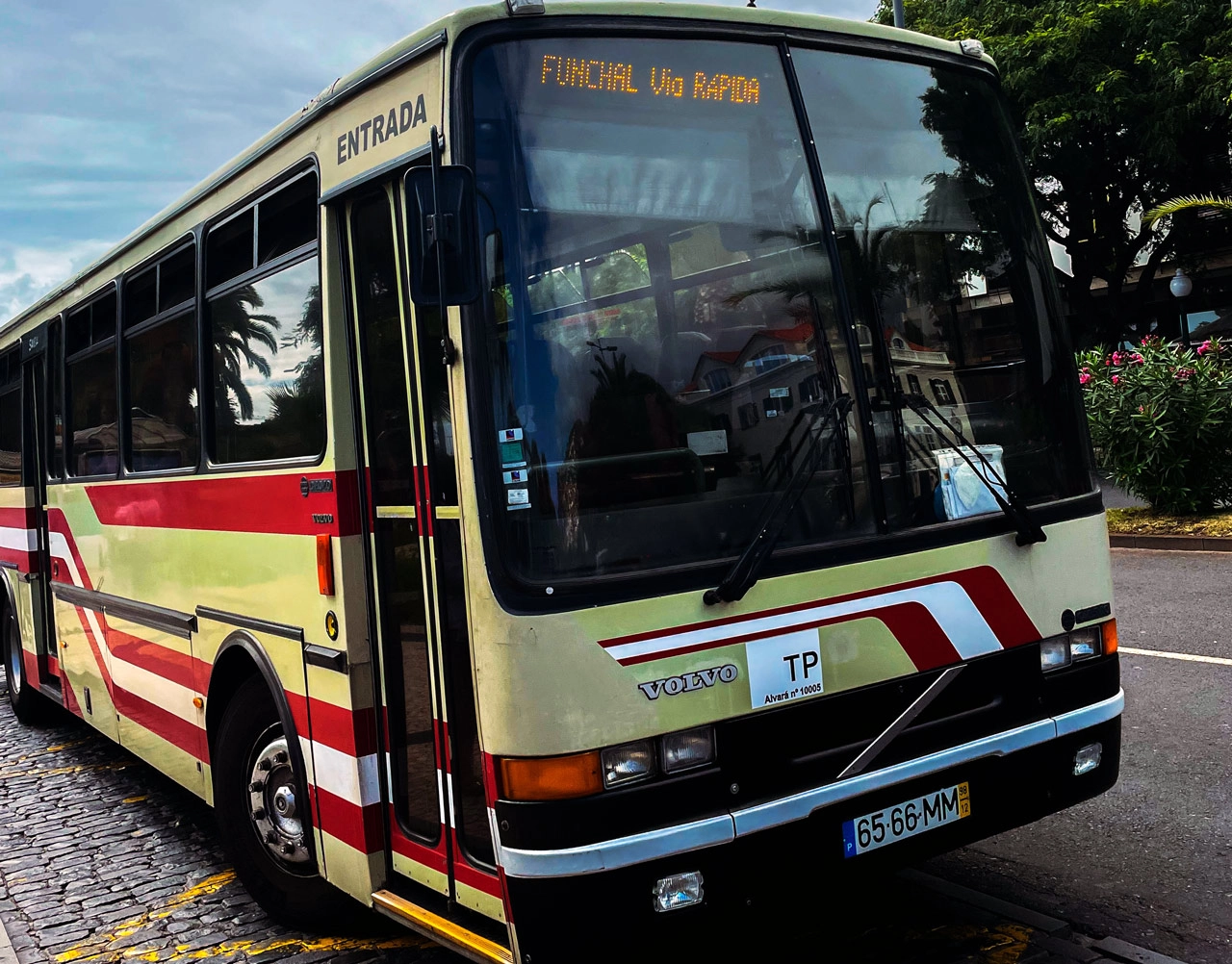 Free Public Transport in Madeira