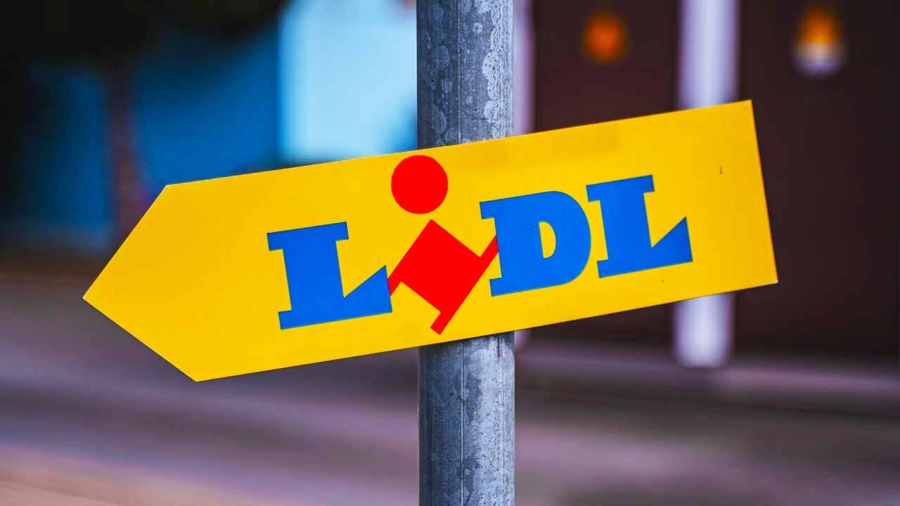 Why Does LIDL Hesitate to Invest in Madeira?