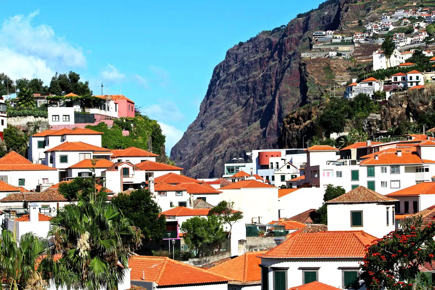 43% of Madeiran Houses Under €750 Rented Within a Day