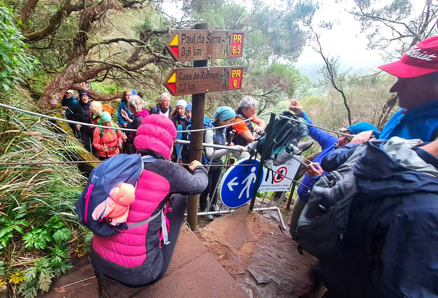 Madeira Will Limit Access to Popular Hiking Trails
