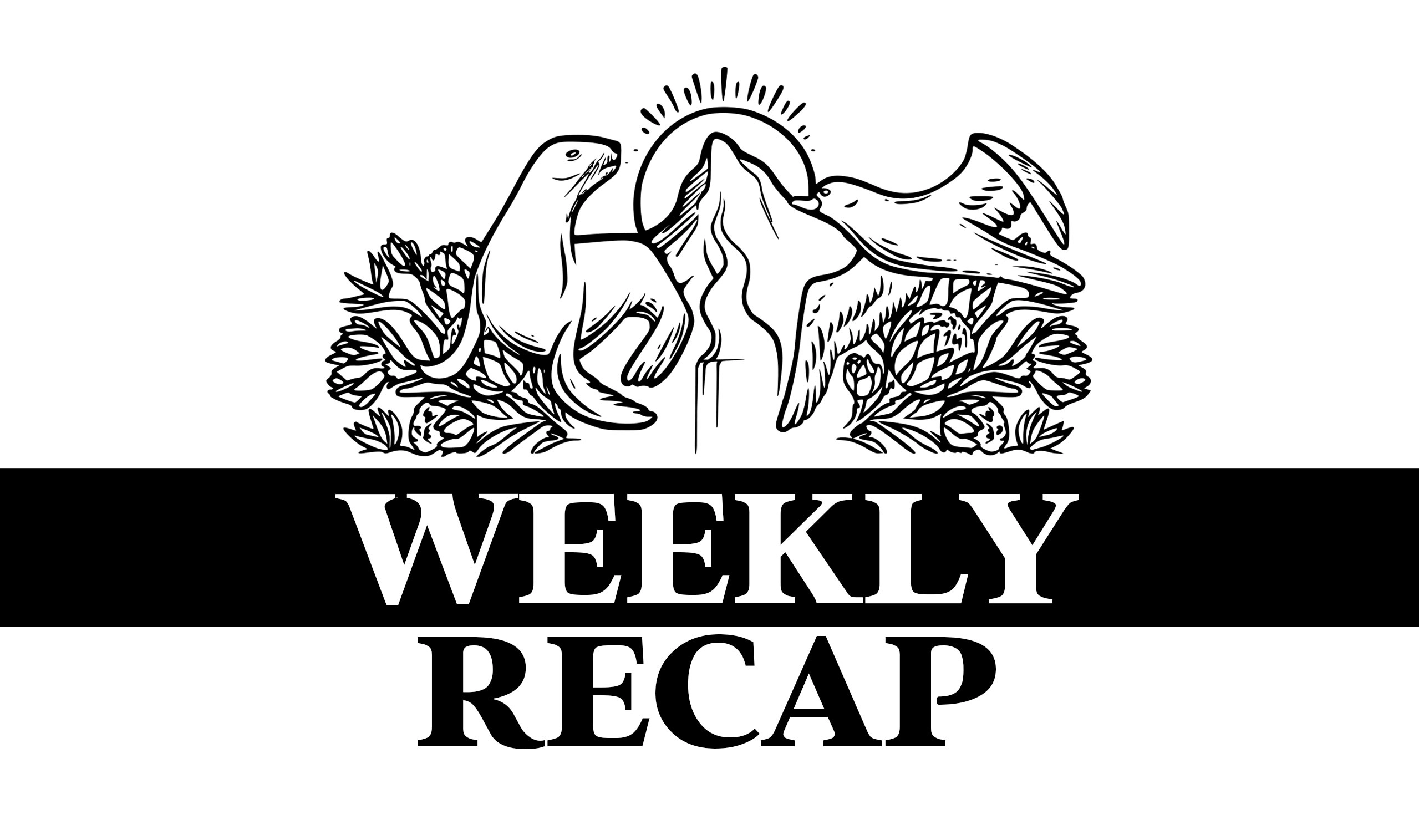 Weekly Recap: All That Went On in The Last Week of 2023 in Madeira