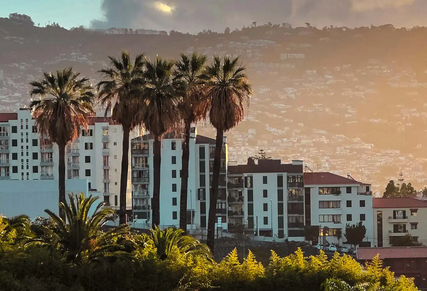 Madeira Creates Task Force to Speed Up Housing Projects