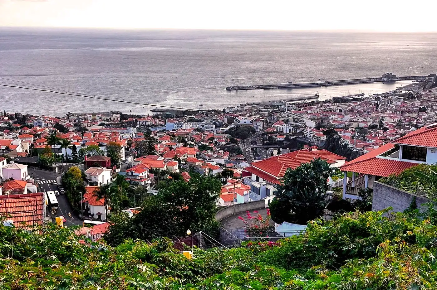 Funchal Calls for an Emergency Housing Plan