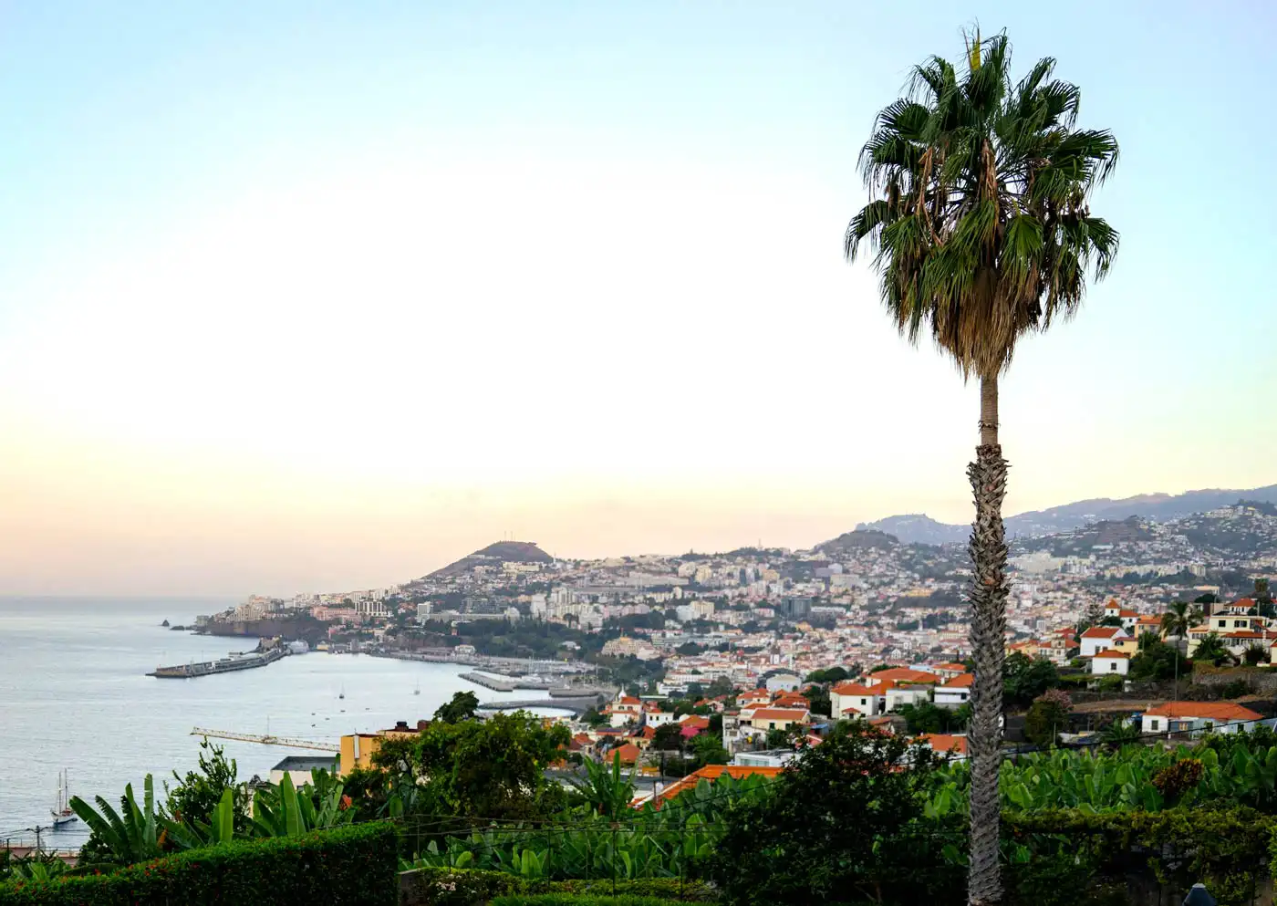 Alojamento Local in Madeira Grows 19.3% Compared to May 2024