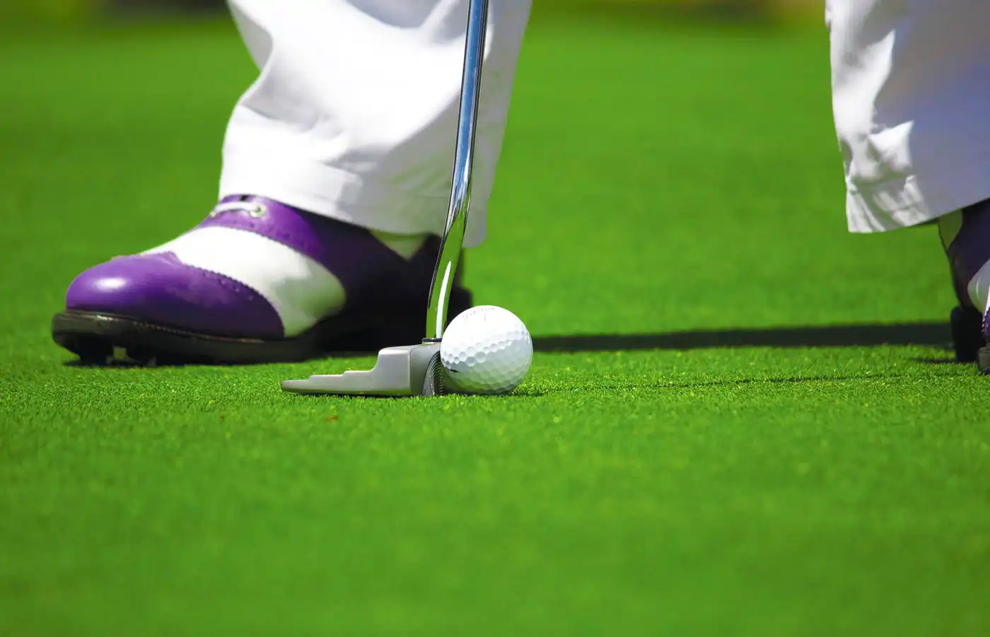 Faial Residents Rise Against New Golf Course Plans