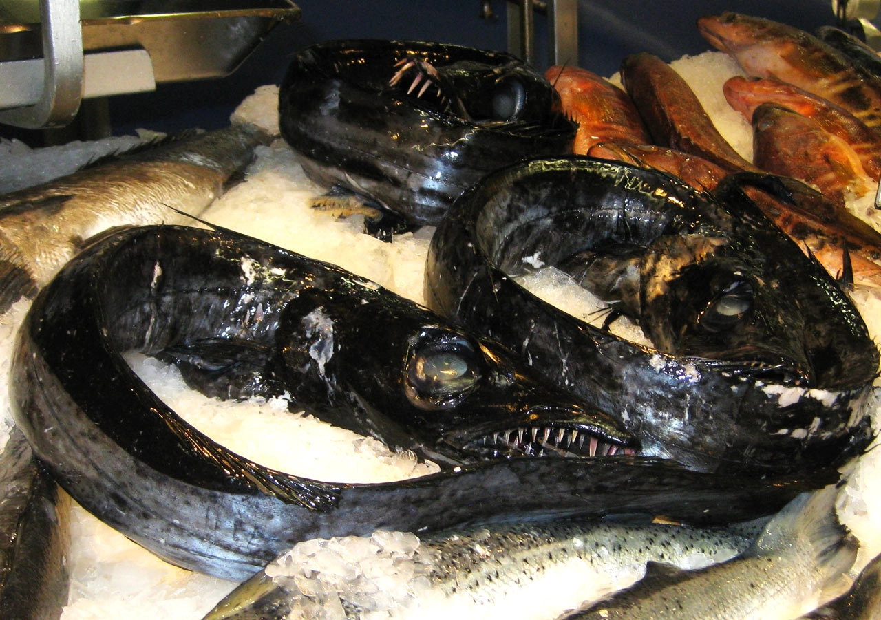 Black Scabbardfish in Supermarket