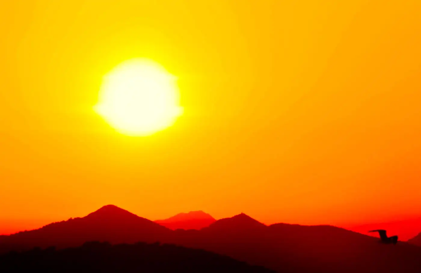 Western Europe Endures Hottest June Ever Recorded