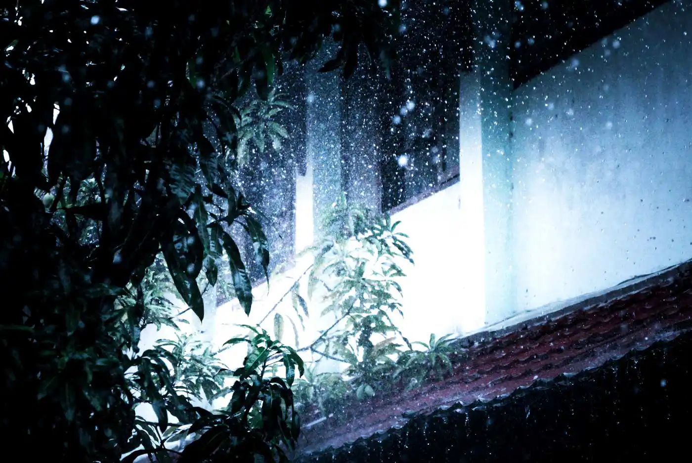 Heavy Rain Triggers Yellow Weather Warning for Tomorrow