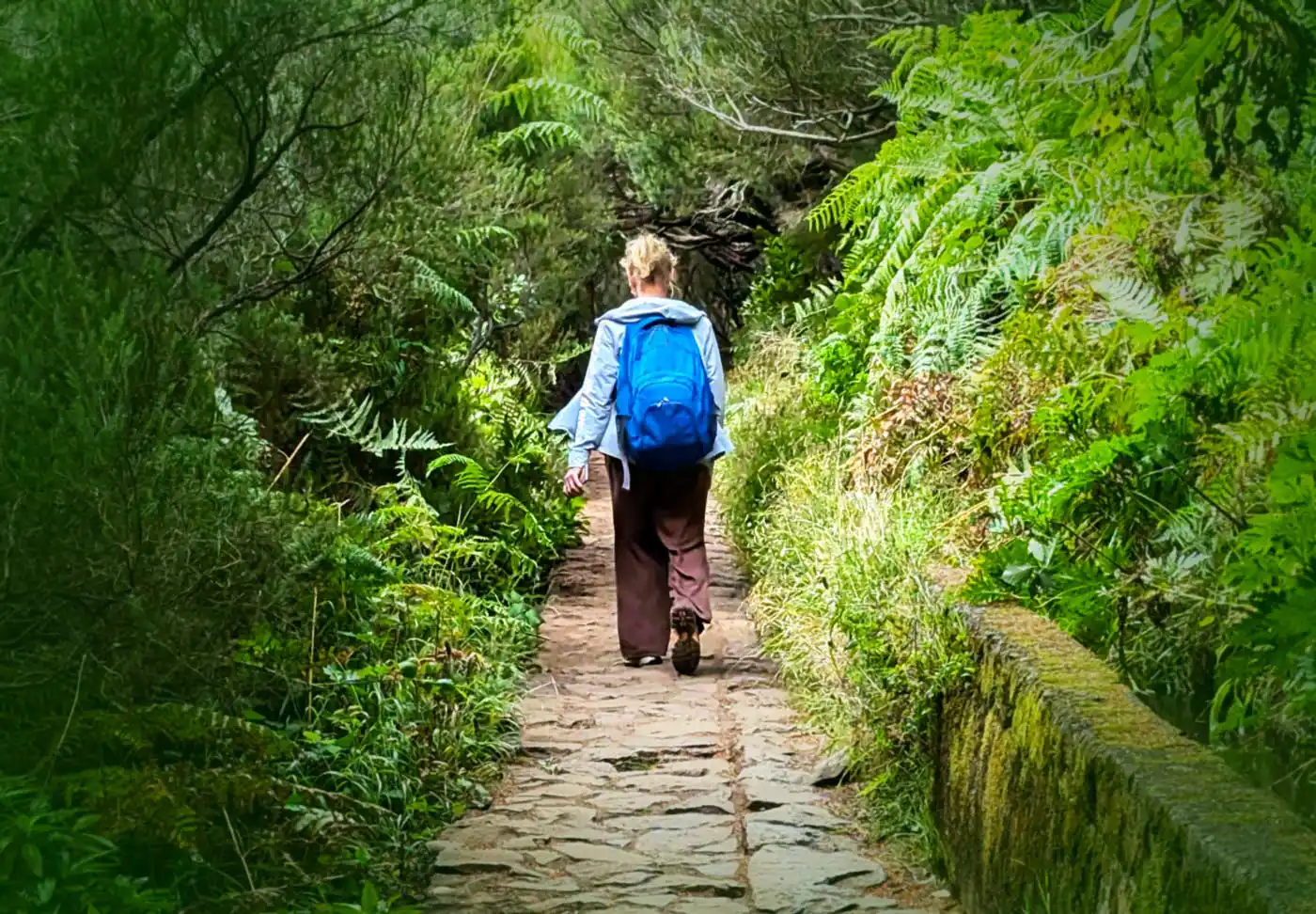 ACIF Warns That Tourist Taxes Can Threaten Madeira’s Economy