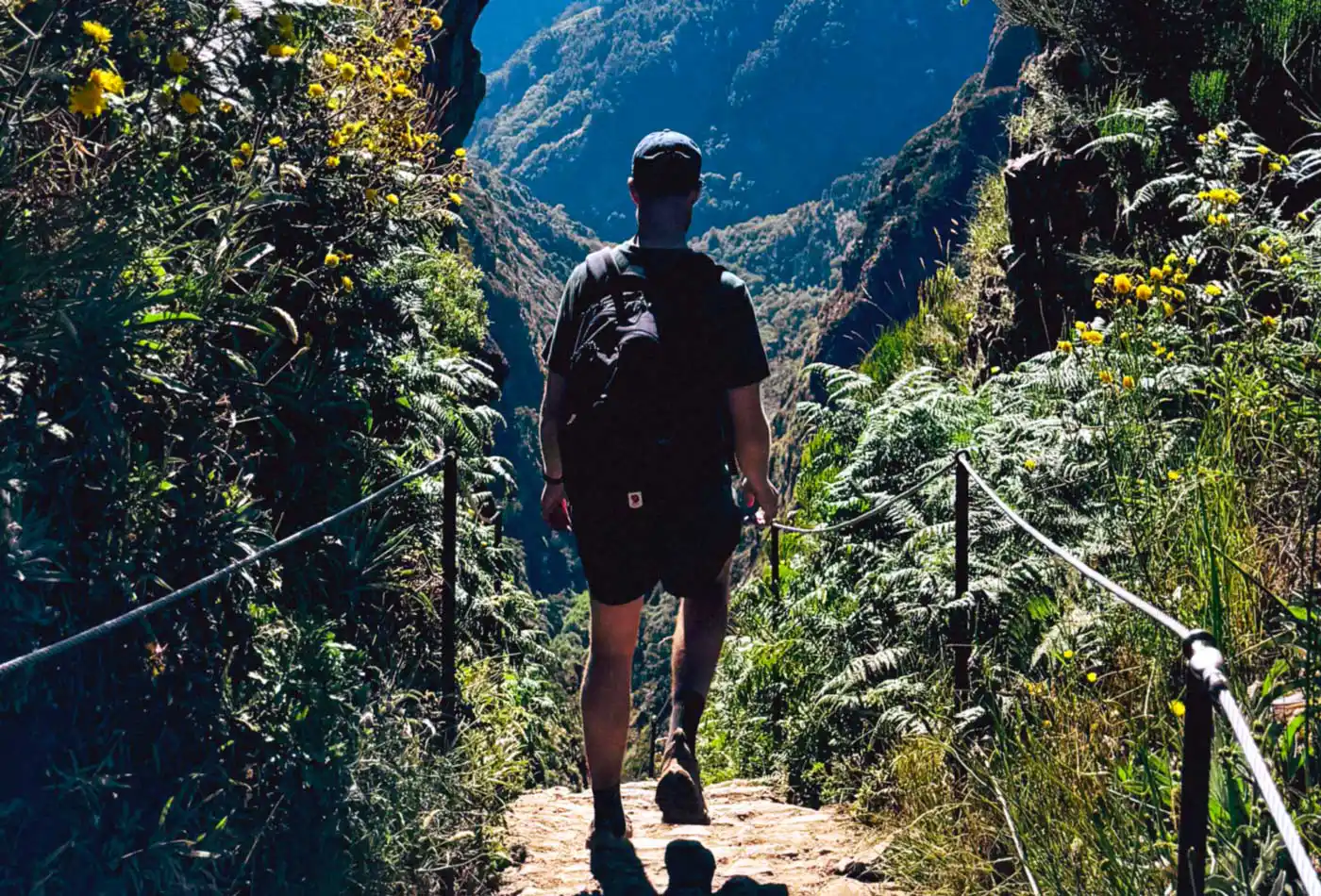 Hikers Protest as Albuquerque Rejects Changes to Trail Access