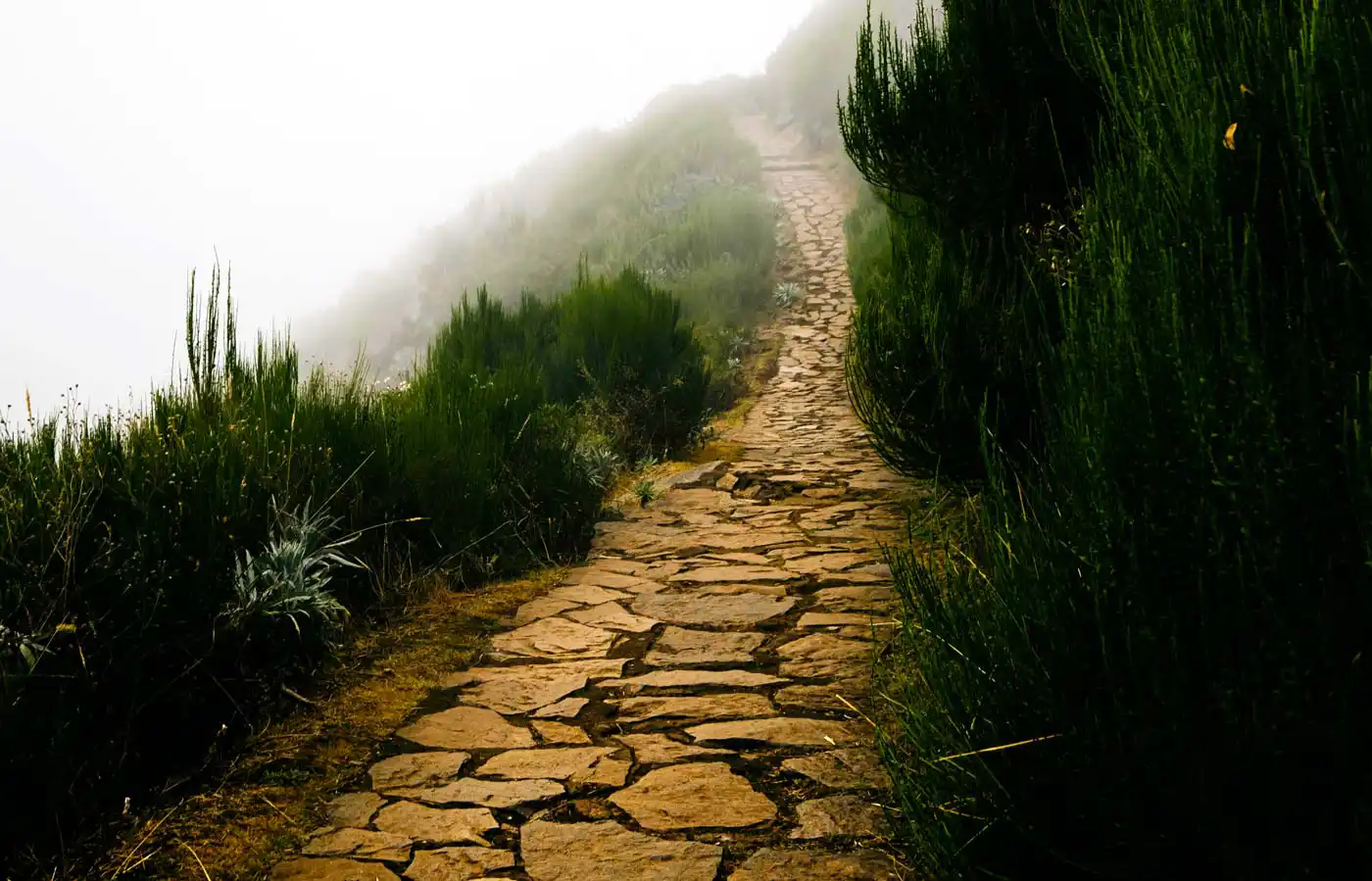 Machico and Santana Oppose Hiking Time-Slots for Residents