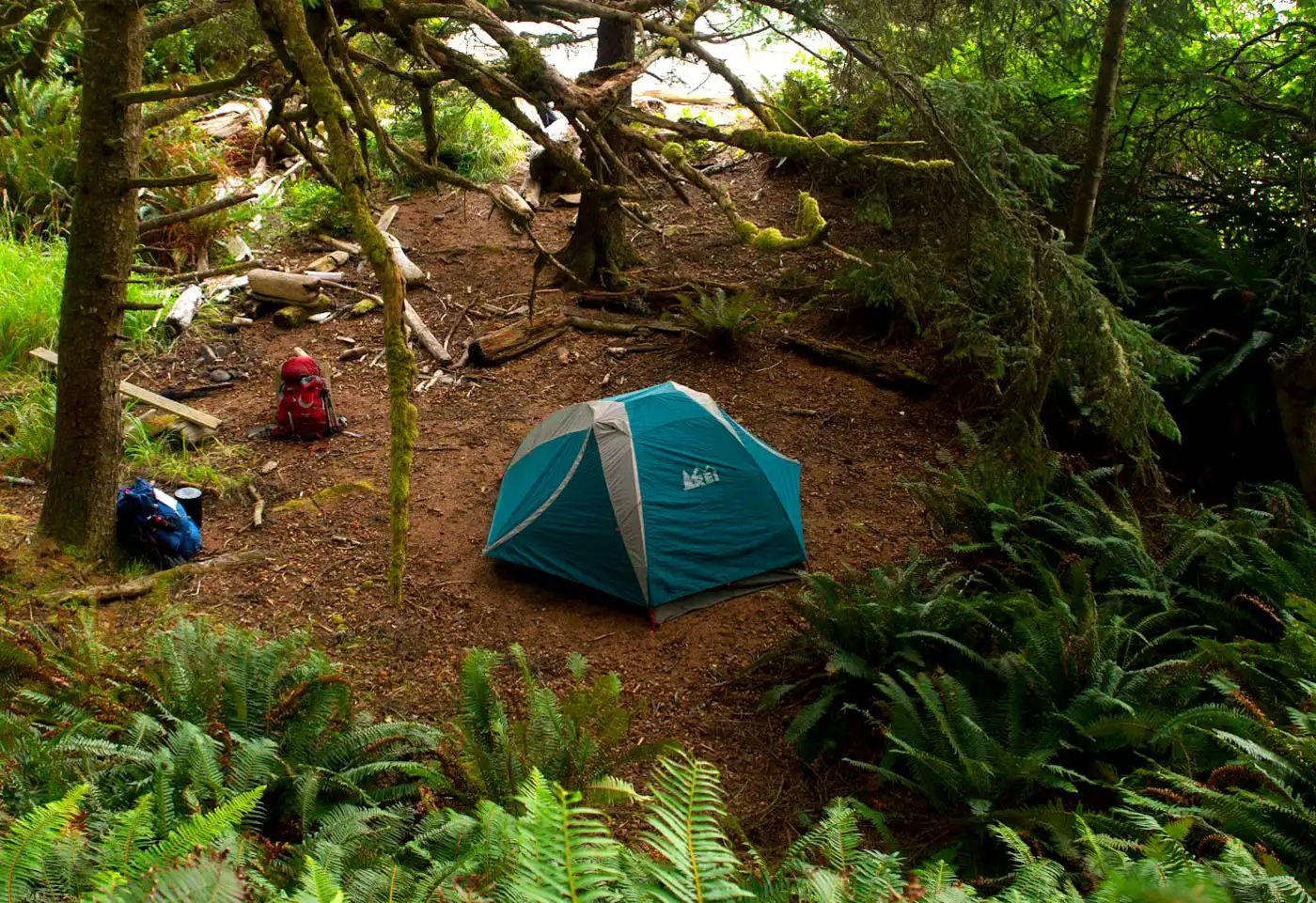 Illegal Camping Is a Municipal Issue, Says Government