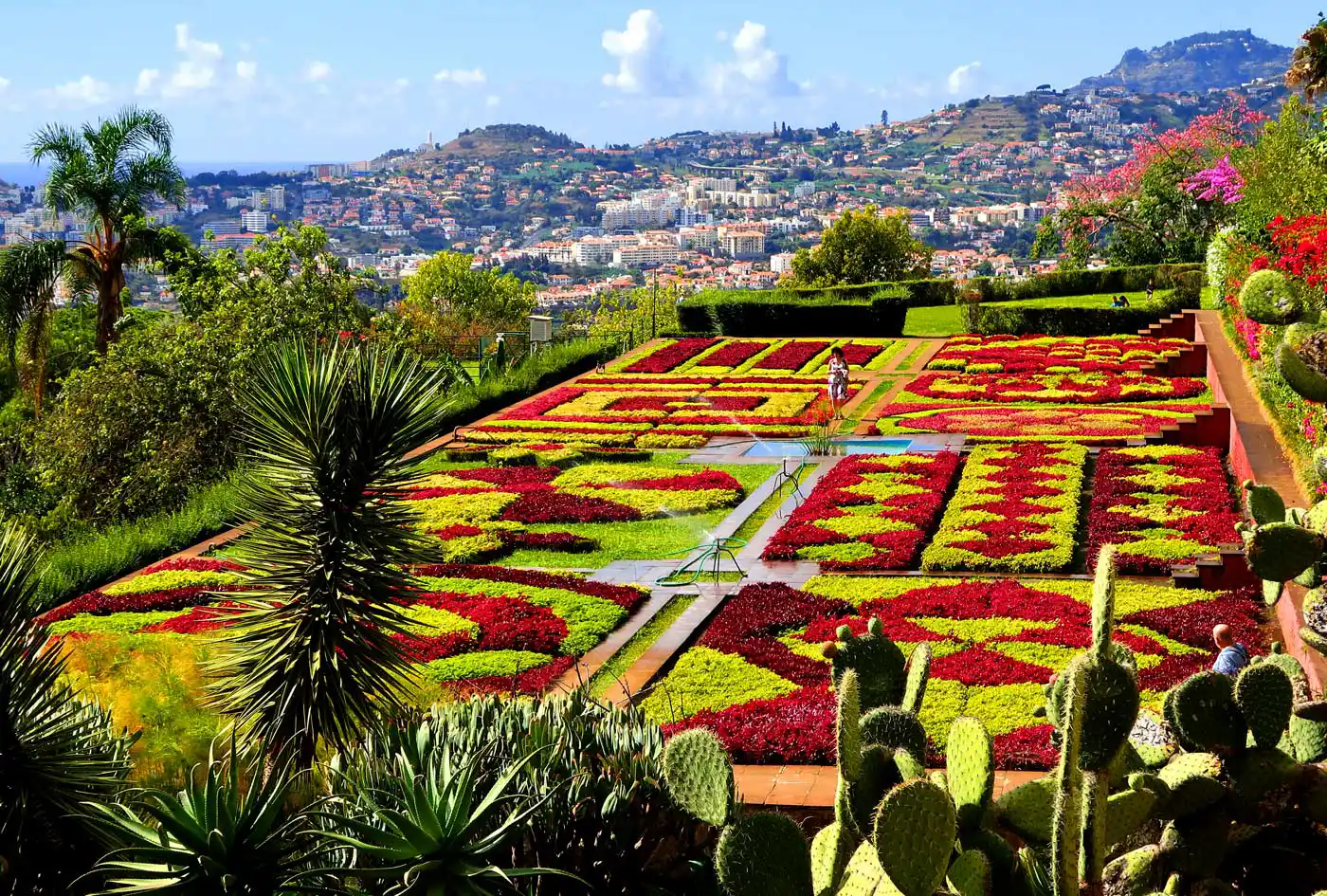 Residents to Enjoy Free Access to Botanical Garden