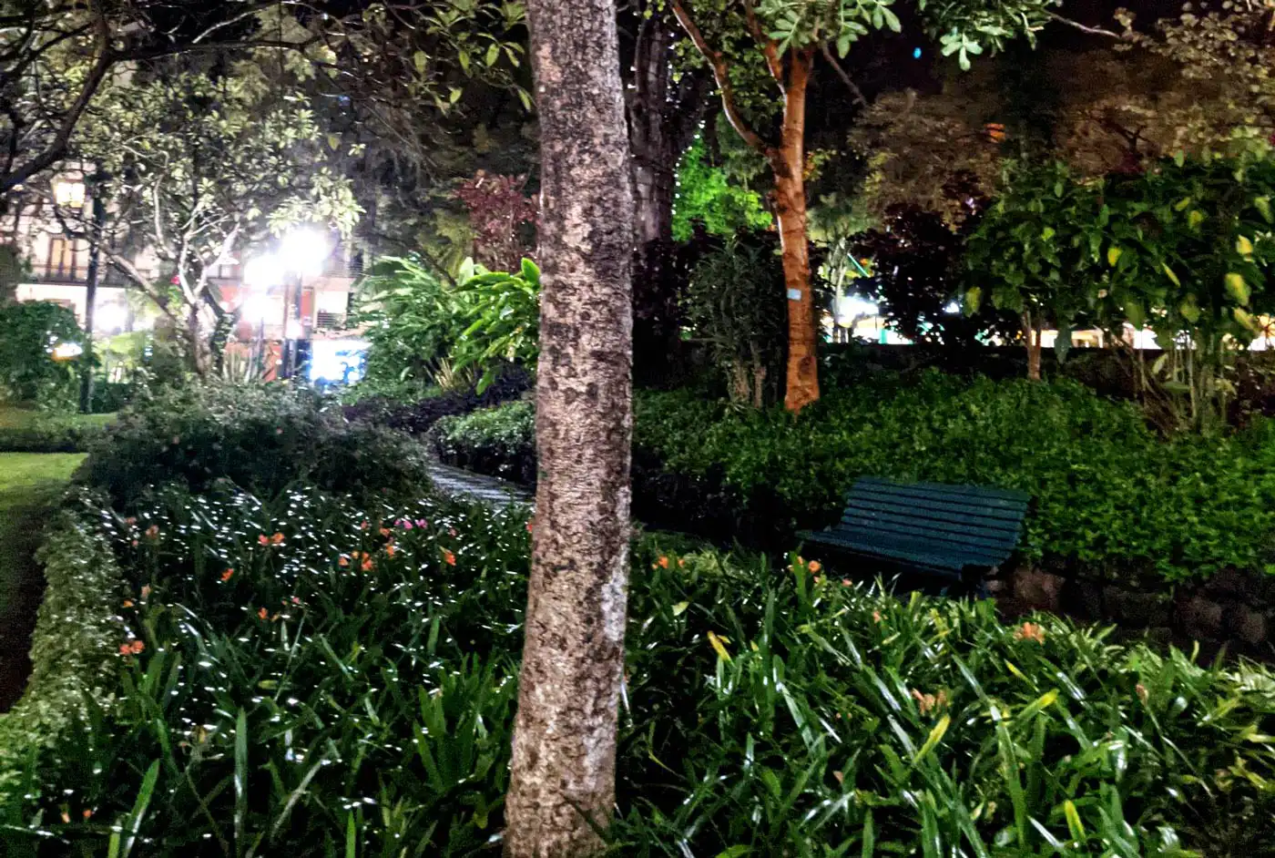 Jardim Municipal Could be Closed at Night, Due to Vandalism