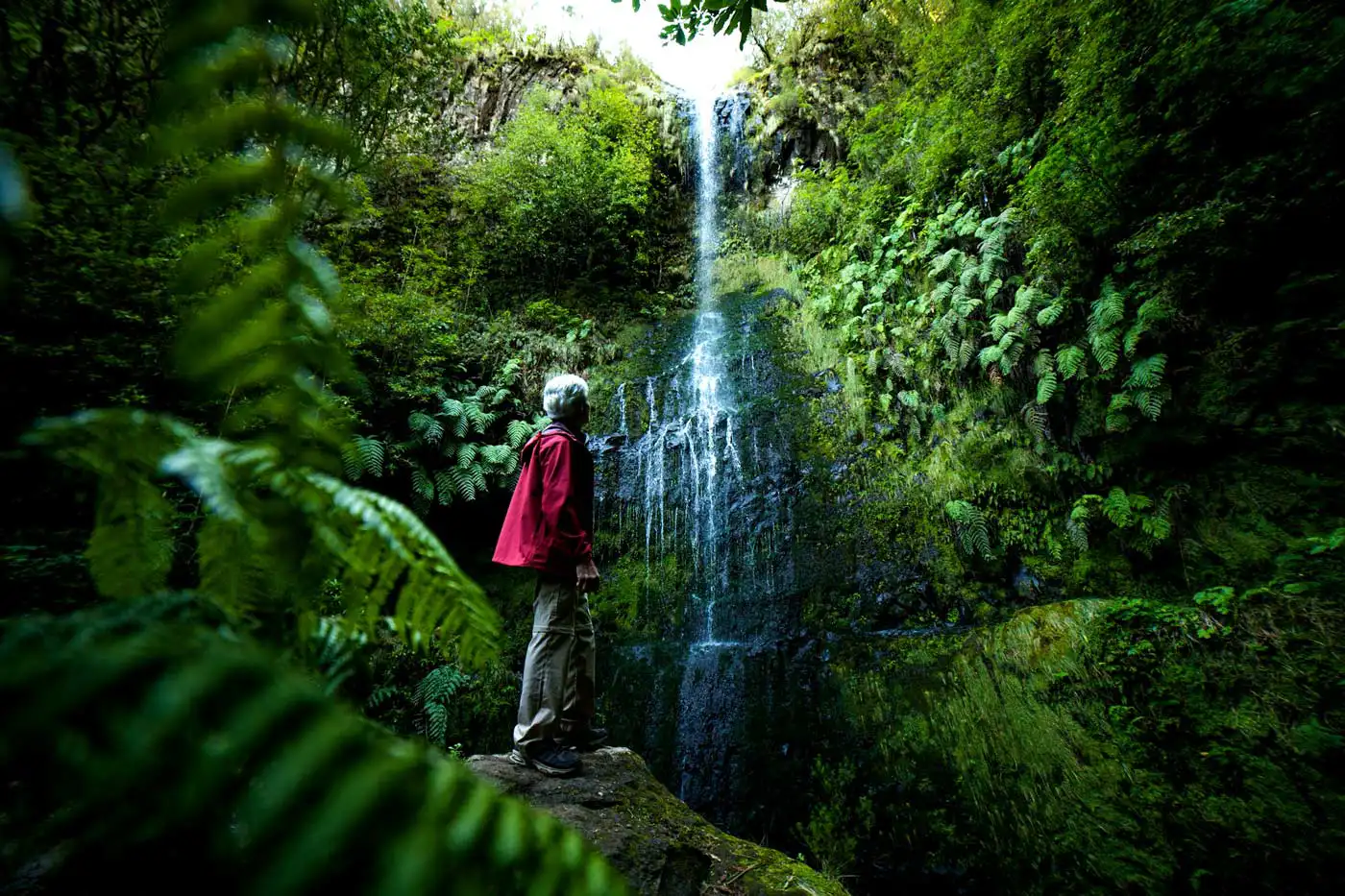 Livre Calls on Citizens to Back Petition Opposing Privatization of Trails