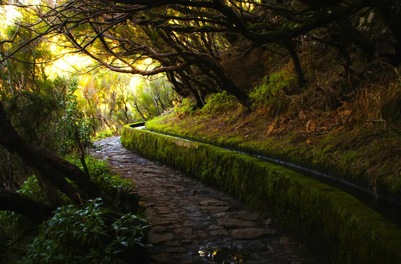 U-Turn! Residents Can Now Access Trails Without Online Booking