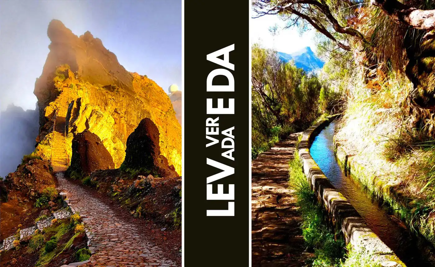 The Two Paths of Madeira: Understanding Levadas and Veredas