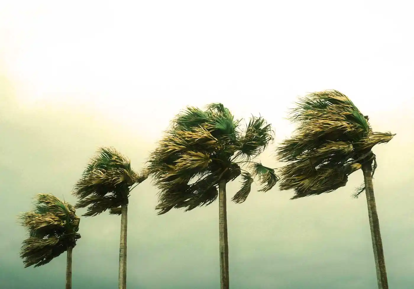Joseph and Chandra Bring Rain and Strong Winds to Madeira