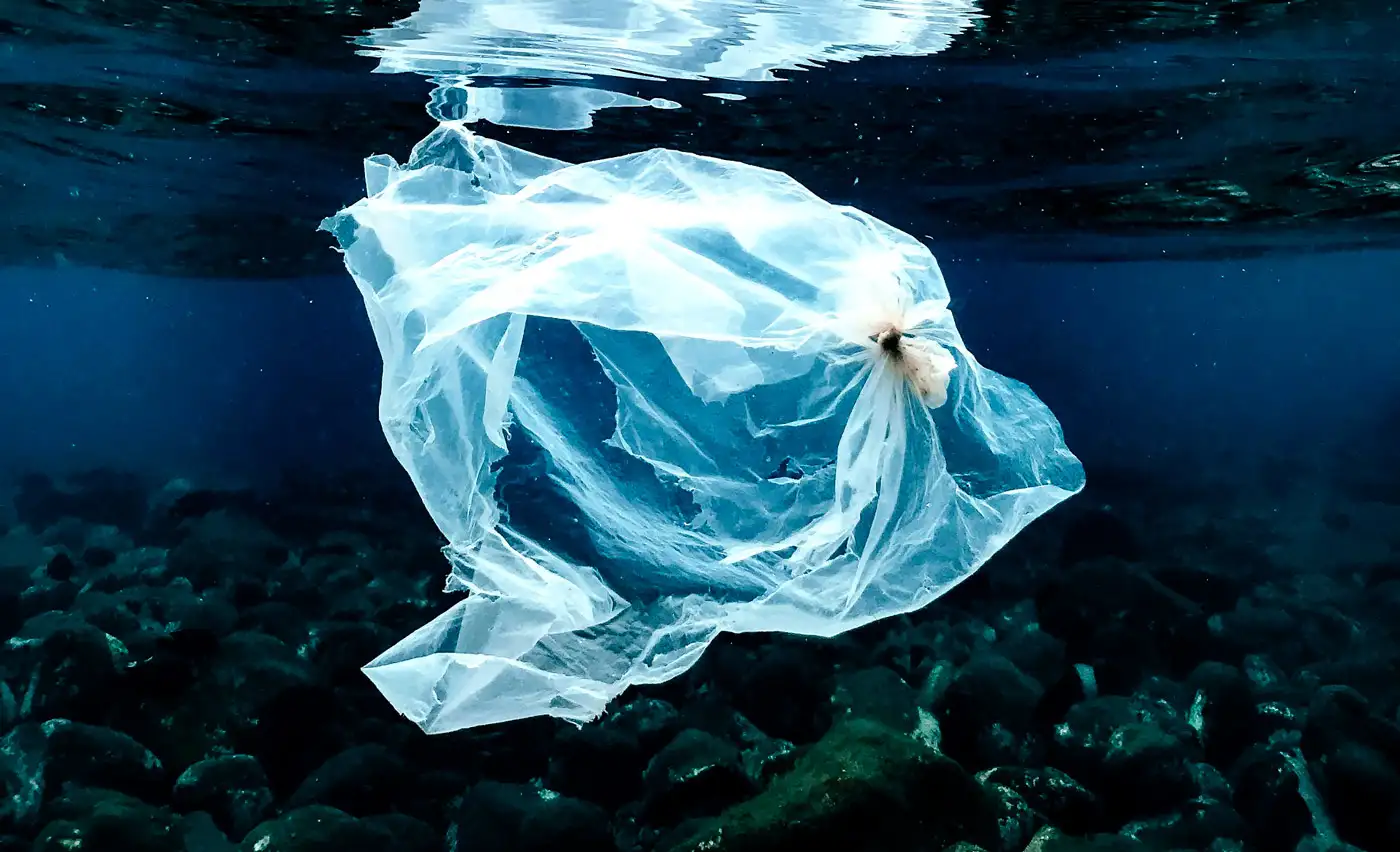 Funchal Marina Gets Plastic Recycling Machine