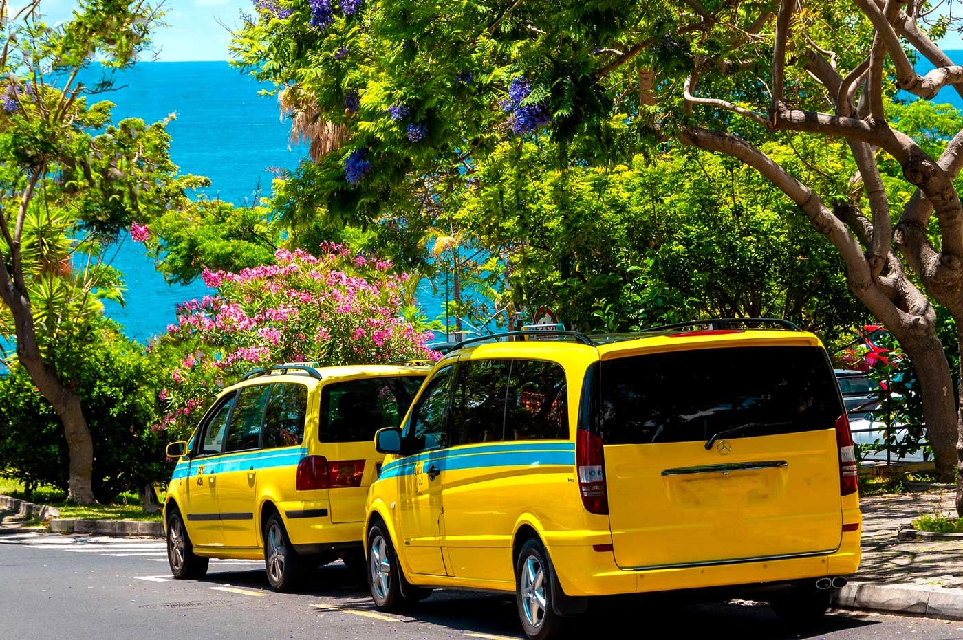 Madeira Taxi Fare Cut Fails as Taximeters Reject Lower Rates