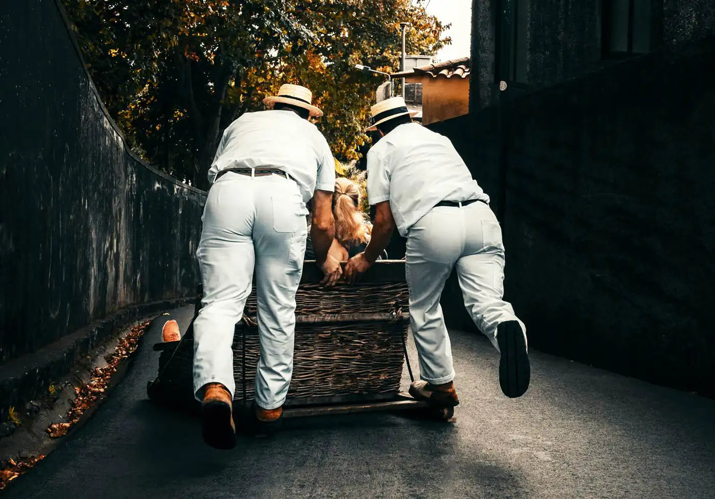 Monte Toboggan Rides Run December 29–31