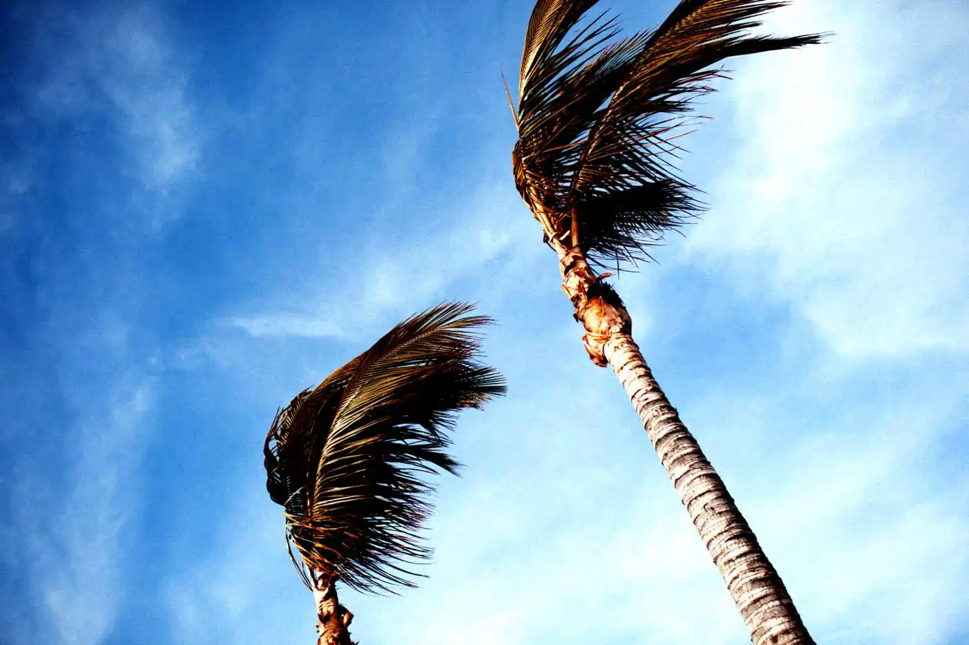 Madeira Considers Emergency Aid for Farmers After Storm Emília